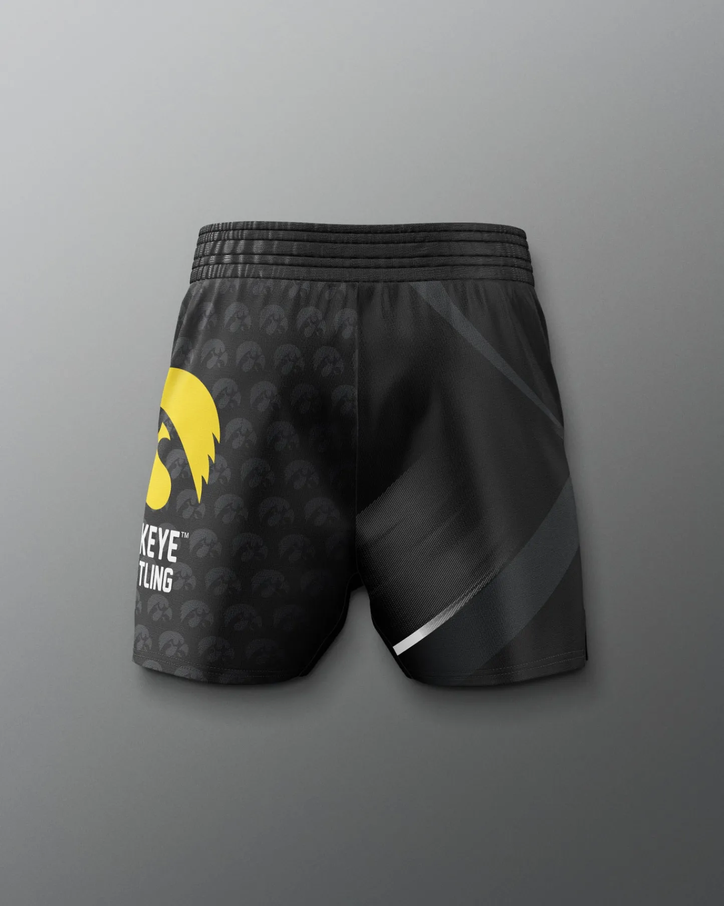 Shorts & Bottoms>RUDIS Iowa Hawkeyes Sublimated Elite Shorts Black