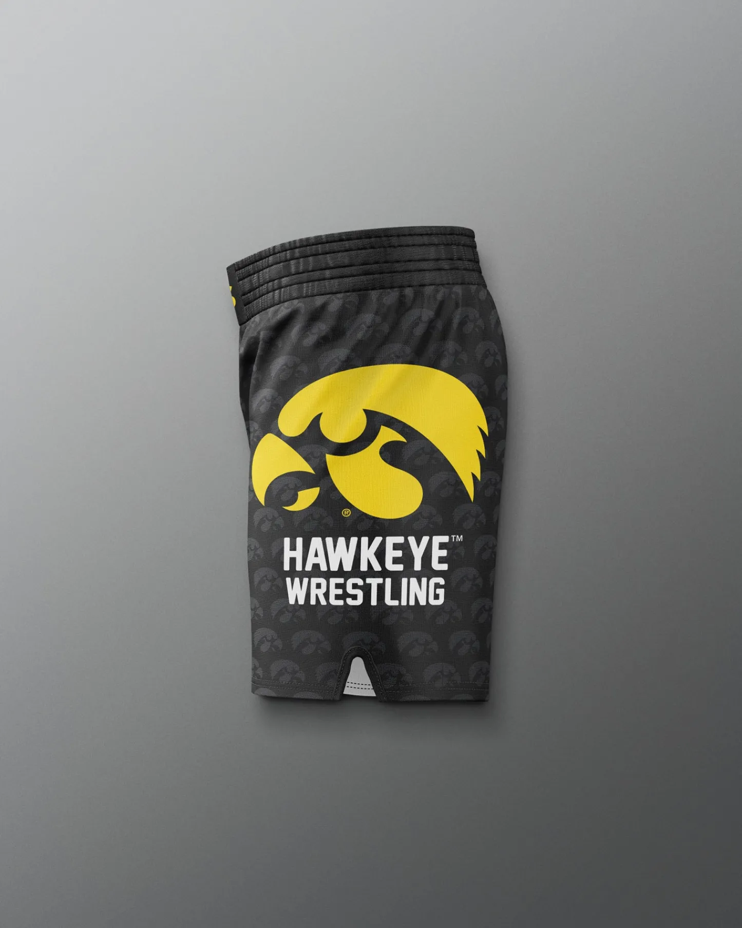 Shorts & Bottoms>RUDIS Iowa Hawkeyes Sublimated Elite Shorts Black