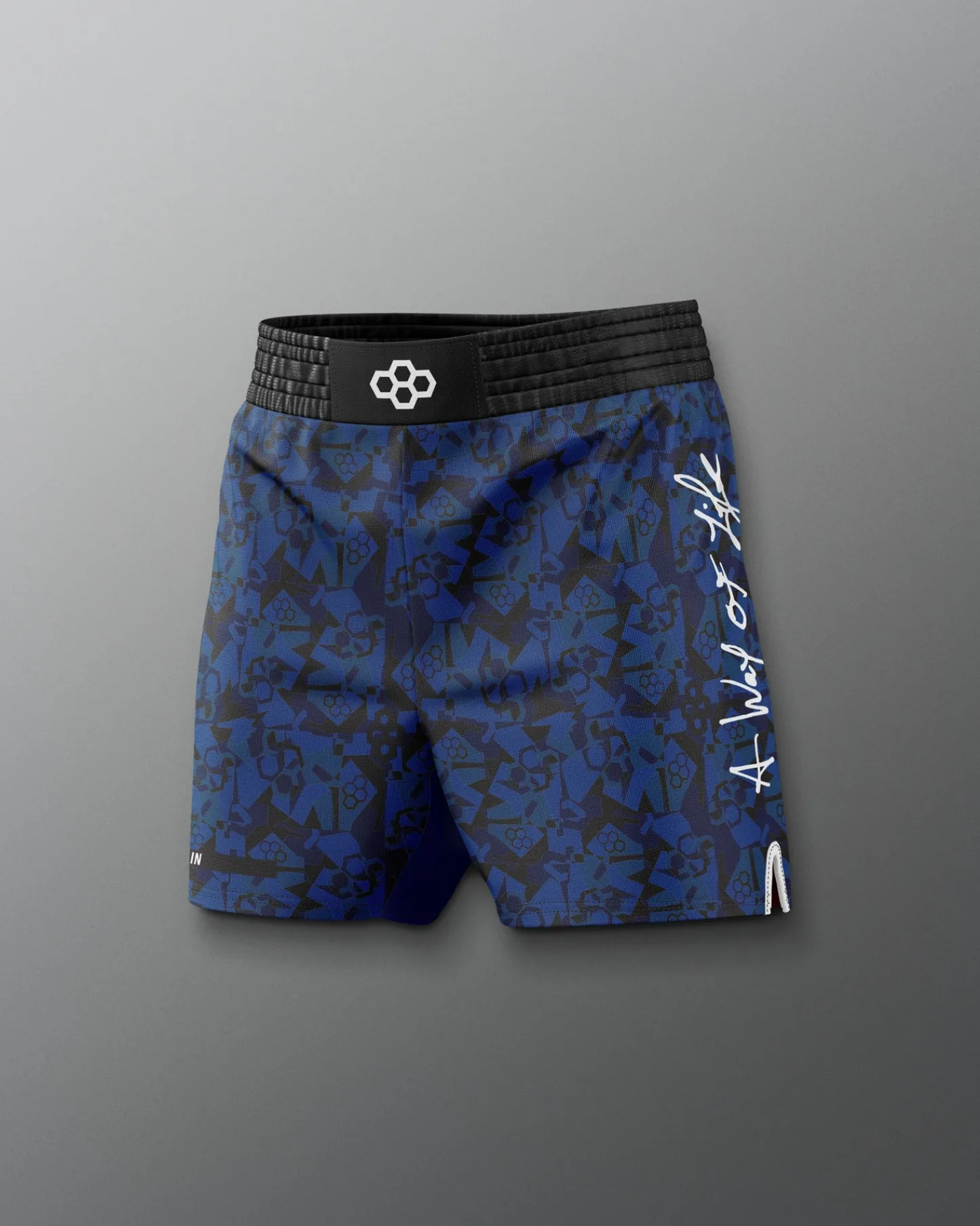 Shorts & Bottoms|Shorts & Bottoms>RUDIS Motto Camo Elite Shorts