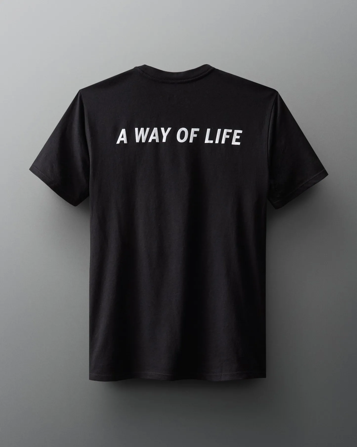 Shirts & Tees>RUDIS Block Gradient T-Shirt