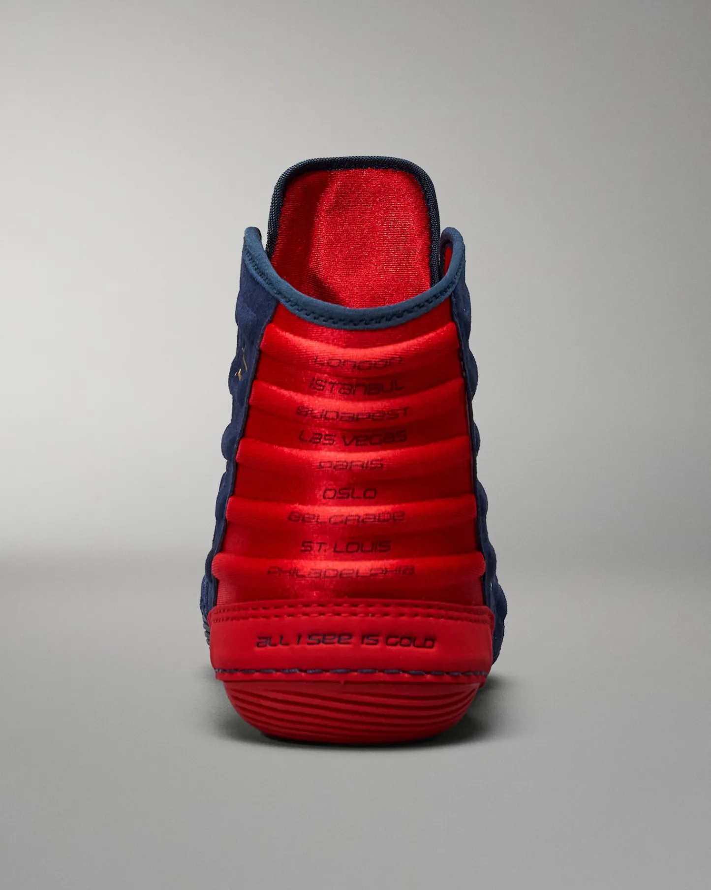 Wrestling Shoes|Wrestling Shoes>RUDIS JB Ultra Adult Wrestling Shoes - The Dream