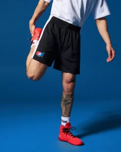 Shorts & Bottoms|Shorts & Bottoms>RUDIS USA Wrestling 5" Premium Panel Mesh Shorts