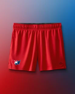 Shorts & Bottoms|Shorts & Bottoms>RUDIS USAW Logo 6" 2.0 Mesh Shorts